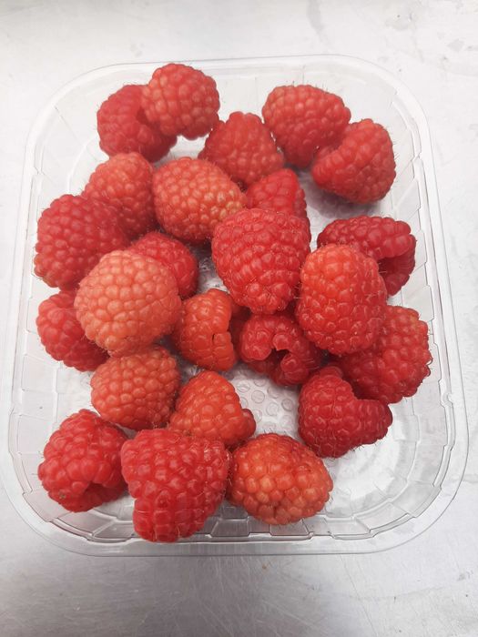 Produção de frutos vermelhos