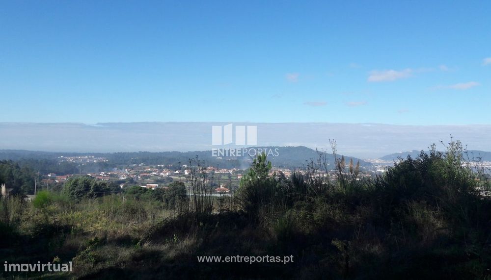 Venda de terreno florestal, Vila Franca, Viana do Castelo — Vila Franca, Viana do Castelo