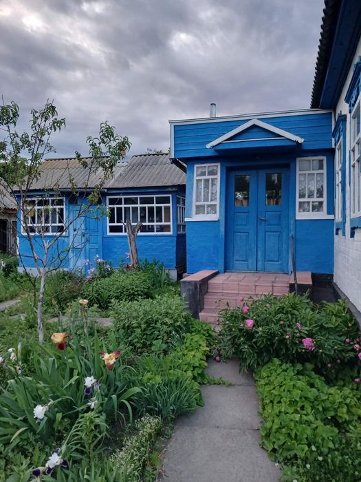 Продається будинок в селі Шатура, Ніжинський район, Чернігівська область