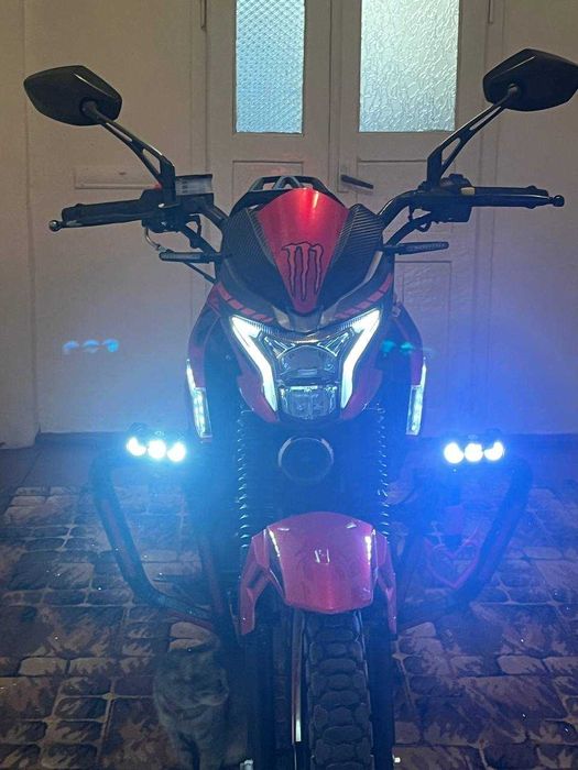 Mustang Fortuna 200,2024 року