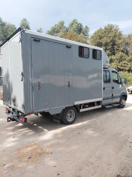 Transporte cavalos516451372516003841