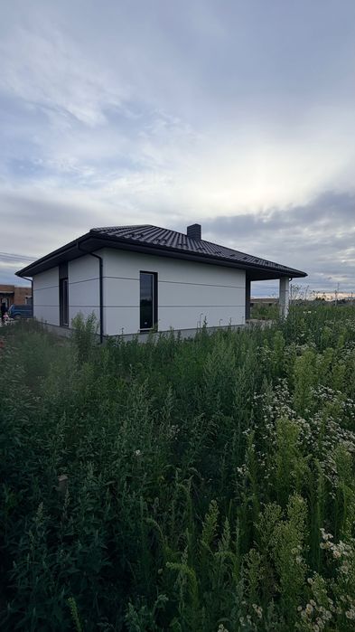 американка біля лісу