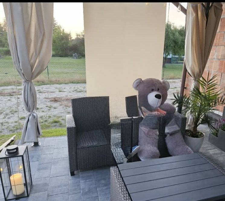 Pergola tarasowa 3x4 z zaslonami i roletami