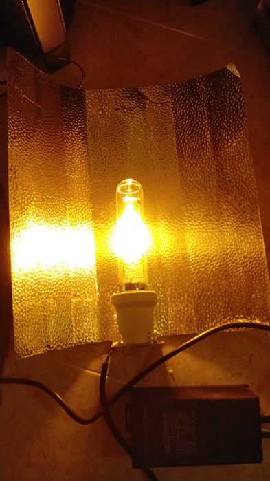 Kit cultivo HPS de 250W Balastro Crescimento Floração