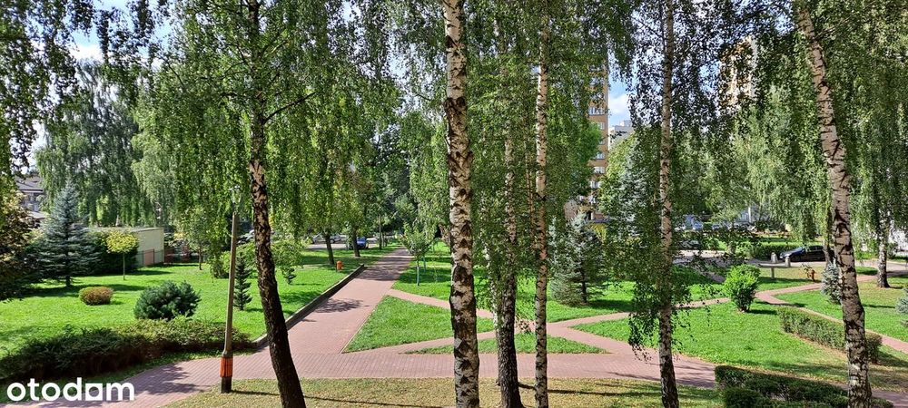 Mieszkanie: 3 pokoje z balkonem nad stawem Morawa, bez prowizji