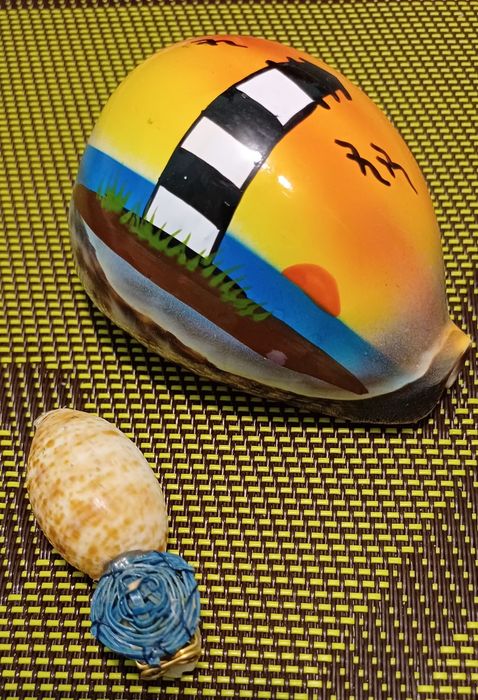 Коллекция экзотических морских ракушек.