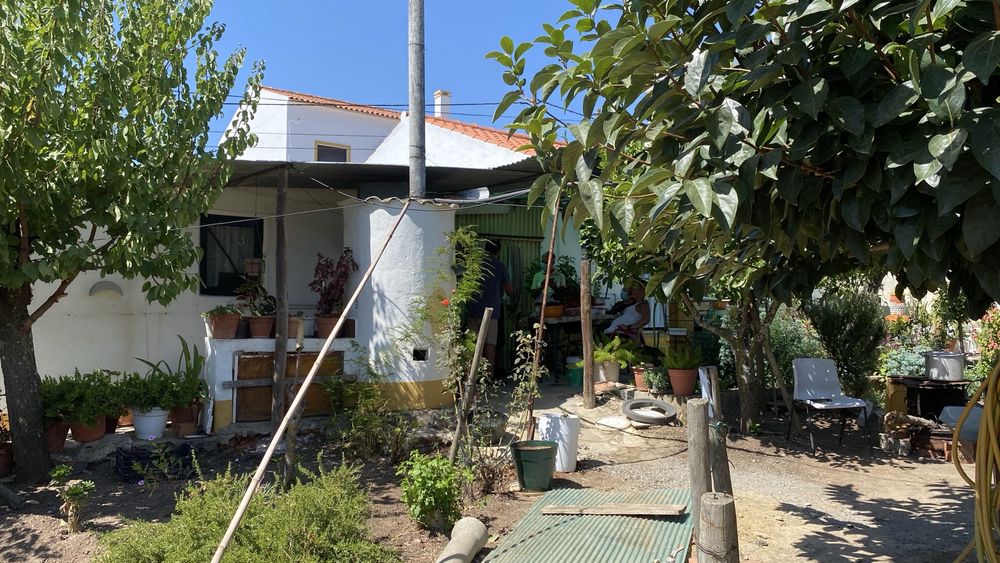Quintinha 10150m2