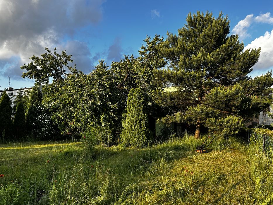 Sprzedam działkę ROD Czeladź