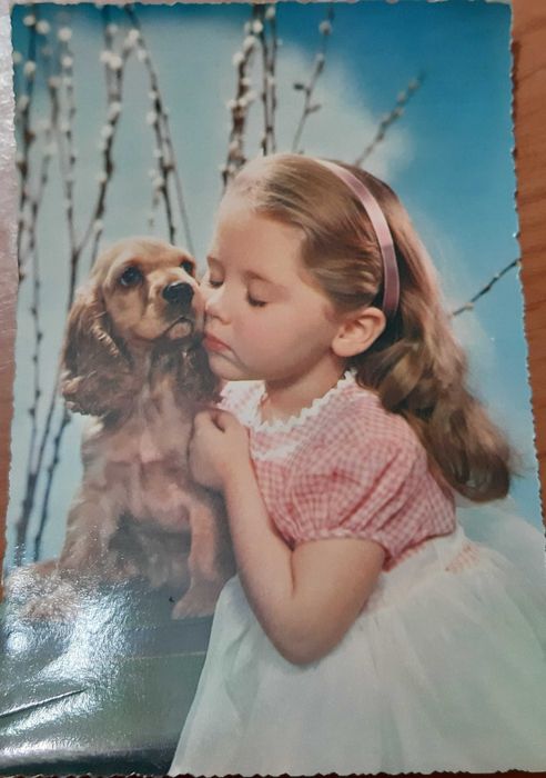 111 postais festivos