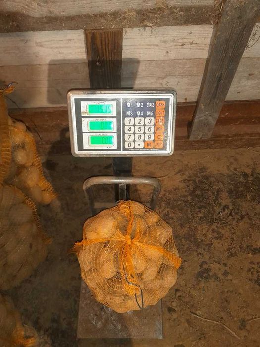 ziemniaki jadalne wega soraya pszenica owies