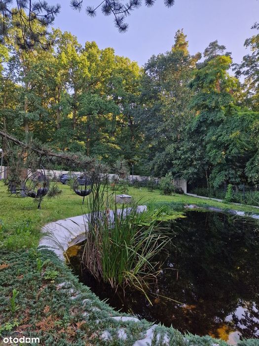 Dom nad dzikim jeziorem – 35 m² ciszy, lasu i szybkiego
internetu