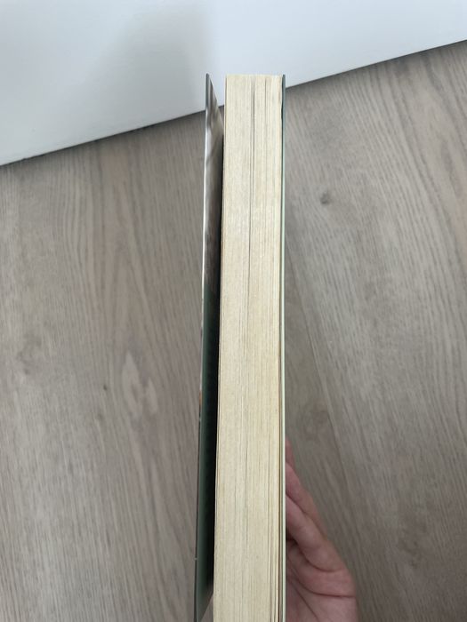 Foi sem querer que te quis - Raul Minh’alma