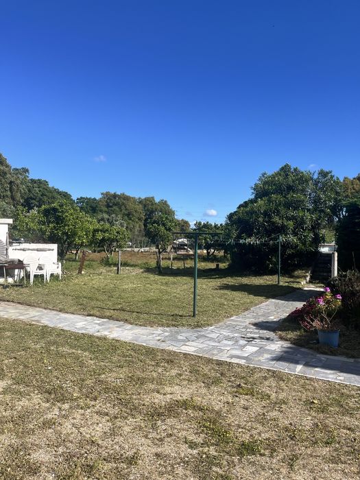 Limpeza e manutenção de terrenos Cuidamos do seu espaço verde
