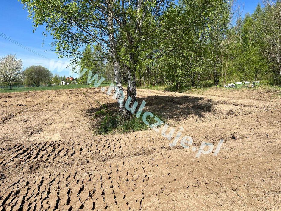 Mulczowanie wgłębne powierzchowne Alwernia Karczowanie działek Mulczer