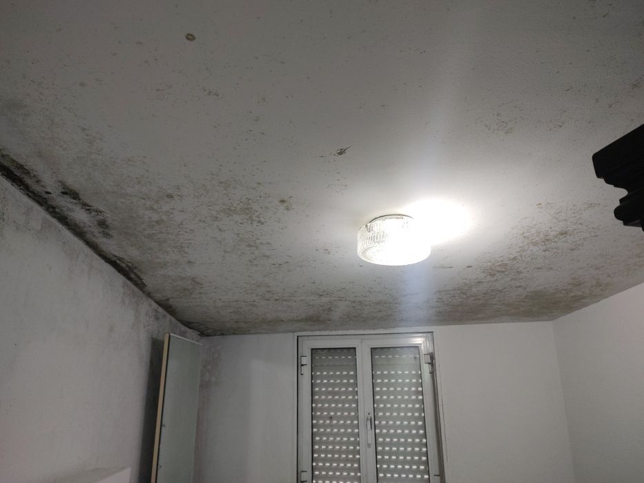 ADEUS MOFO E FUNGOS!!!!!