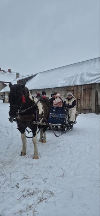 Sprzedam lub zamienie Hucuł