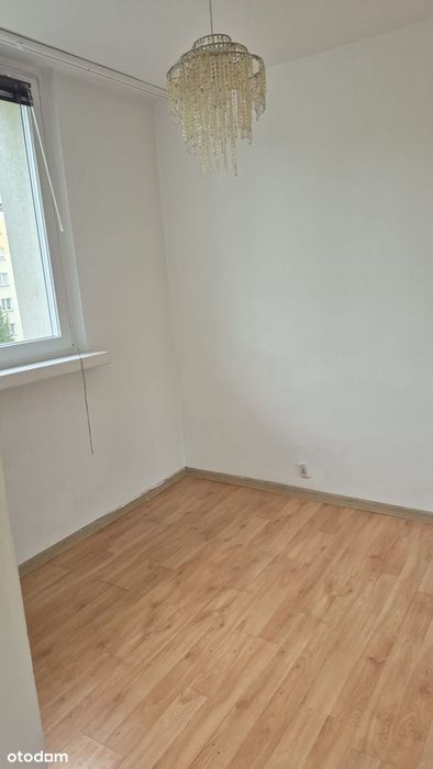 Apartment in Leszno - Widok 2