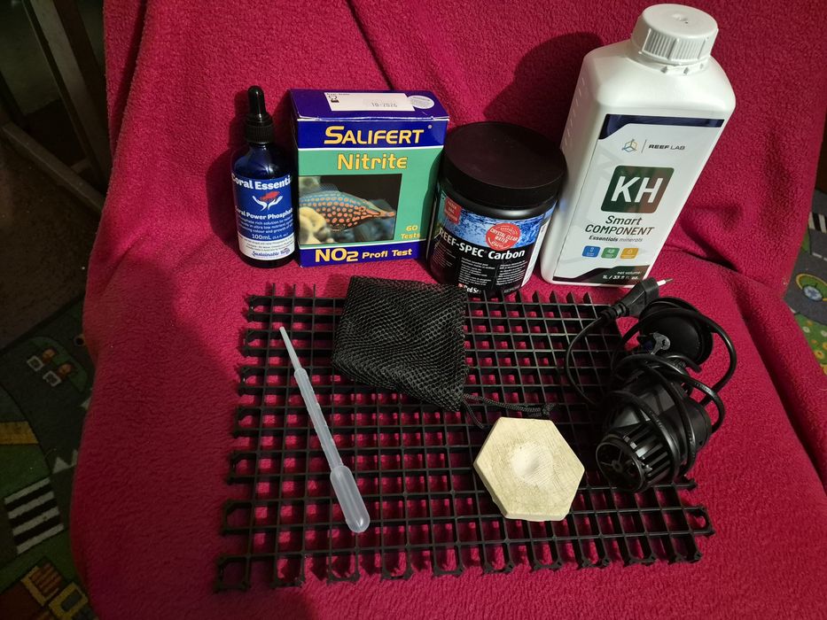 Morskie różności.