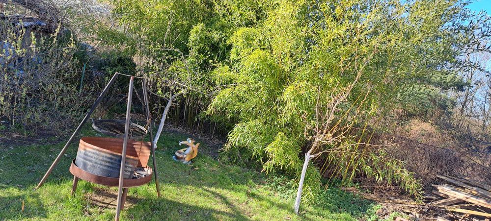 Działka przy Puszczy Bukowej - Widok 4