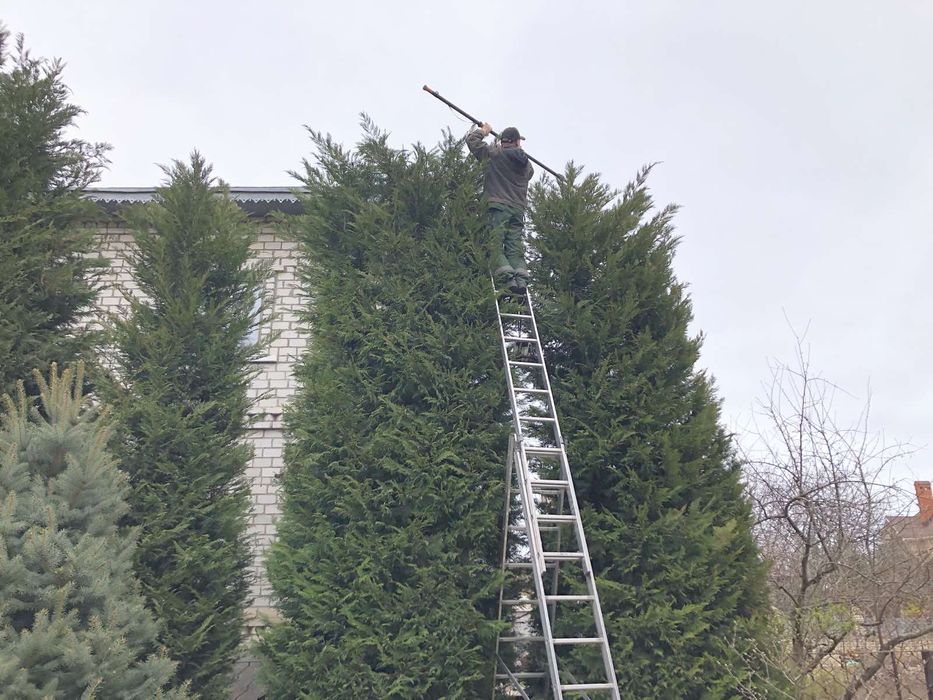 Уборка участка,расчистка заброшек и вспашка огорода.