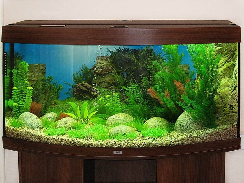 Чистка  акваріума, и повне обслуговування