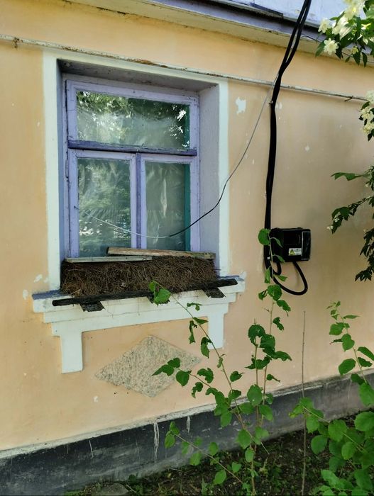 Продається будинок  село Крижі