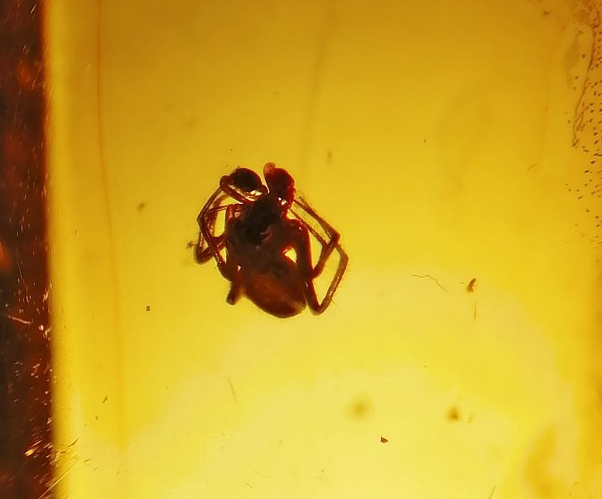 Wyroby ze srebra , srebro , bursztyn , inkluzje