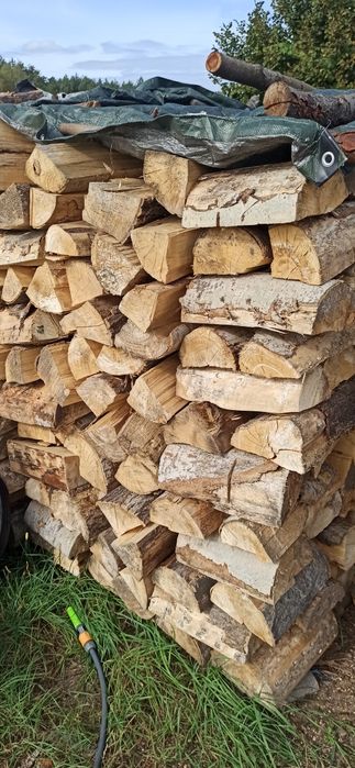 Drewno  drzewo opałowe Osika sosna brzoza