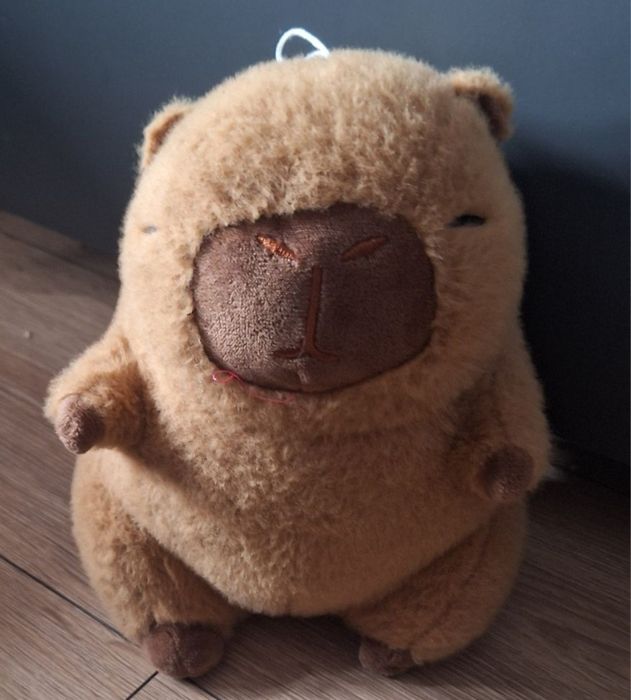 Kapibara Maskotka 25cm