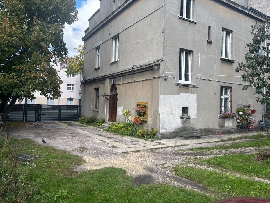 Zdjęcie 7