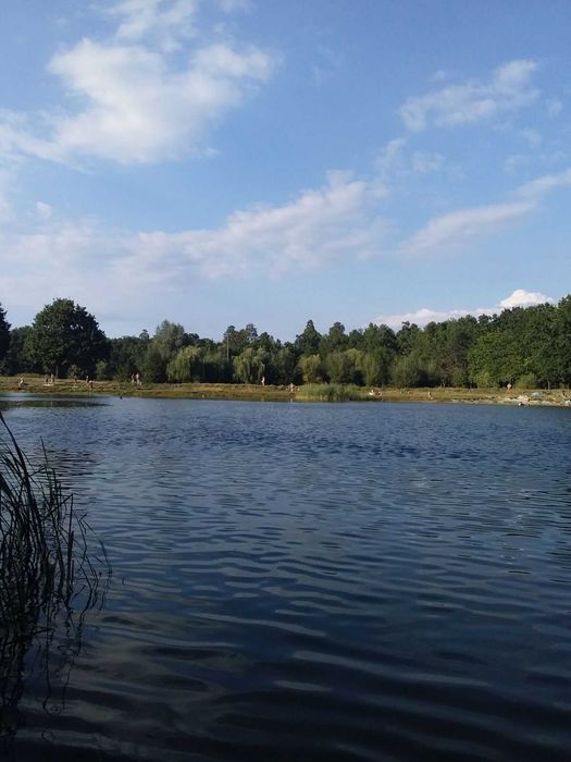 Дачна ділянка біля Дніпра Бориспільський район, Біля Переяслава - View 4