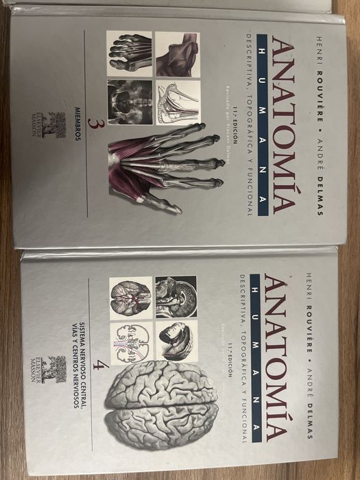 Livros Anatomia - Rouviere