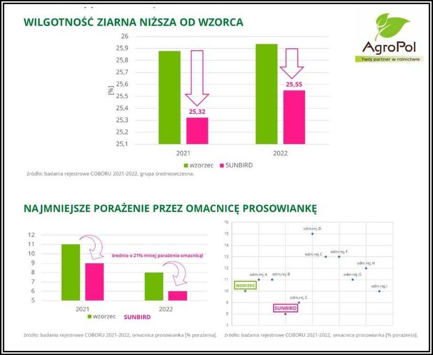 Kukurydza SUNBIRD - Wysoki Plon Ziarno Dent Nasiona Kukurydzy IGP