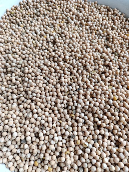 Groch, groszek, peluszka, pokarm dla ptaków 20 kg