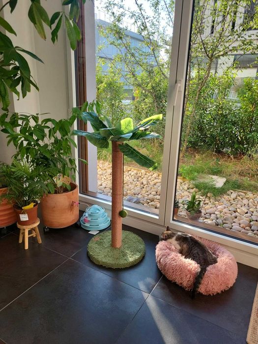 Drapak dla kota oryginalny palma słupek do drapania