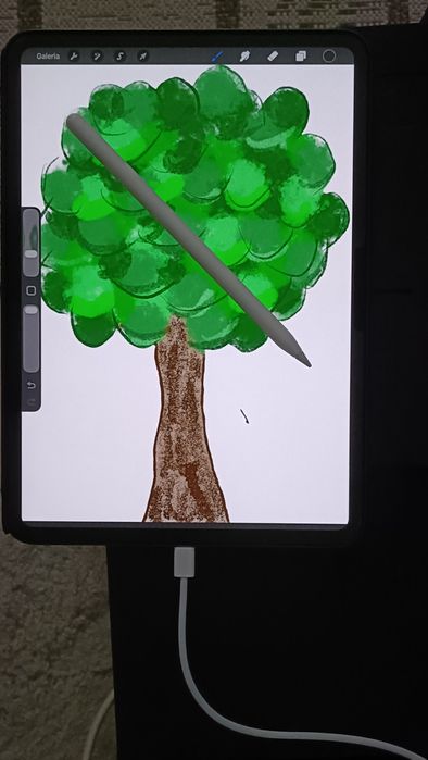 iPad pro APPLE 11