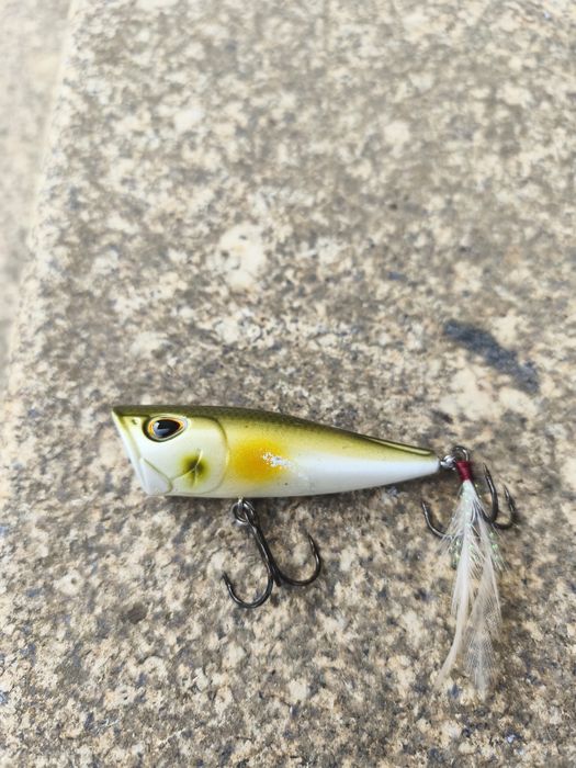 Vendo amostras superfície achigã