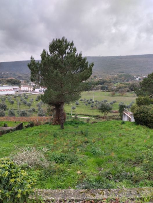 Terreno urbano p/construção