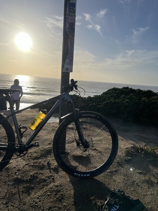 Bicicleta Scott scale 965..