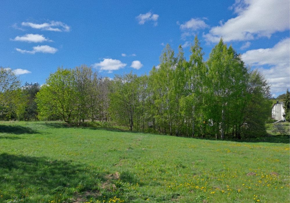 Piękna działka 1948m2 na Mazurach, Łążyn, z własnym laskiem
