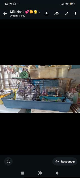 Gaiola grande de coelhos