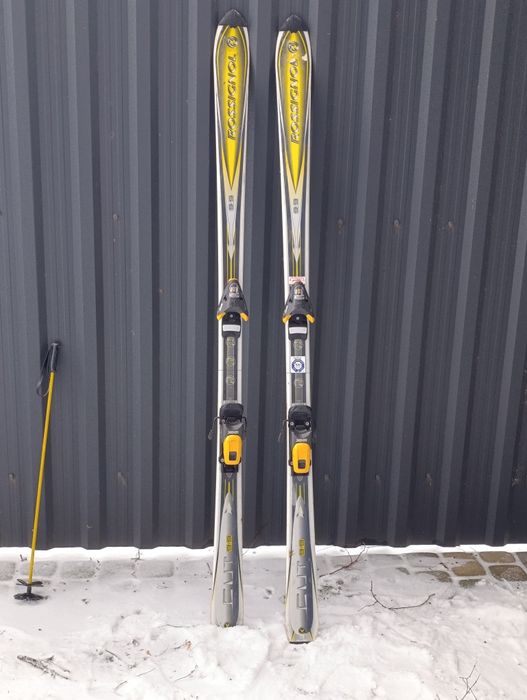 Лижі гірські, бігові