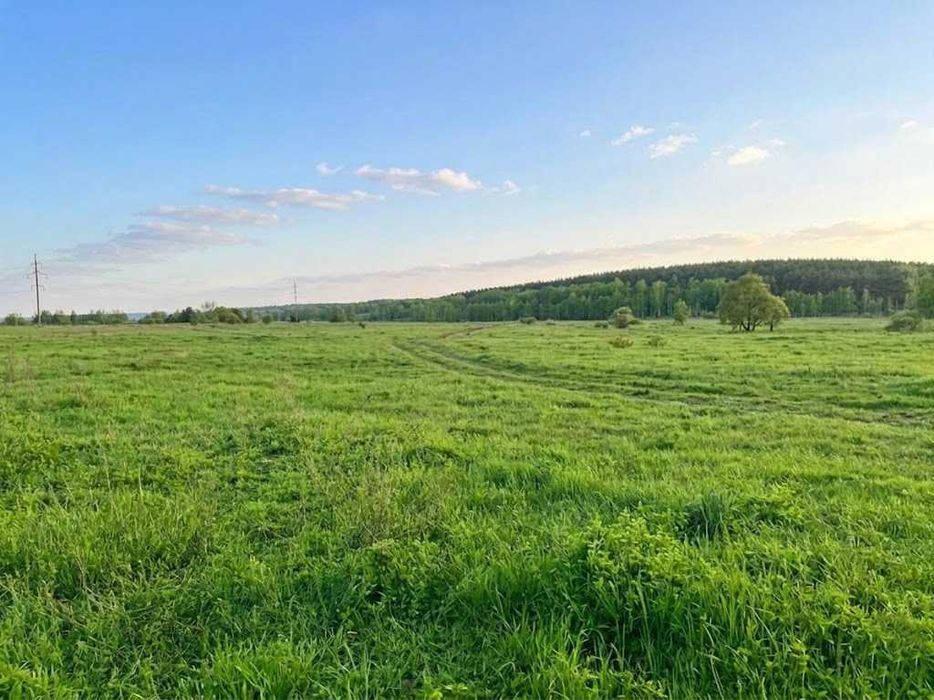 Продаж земельної ділянки 1,5982 га у Мироцькому !