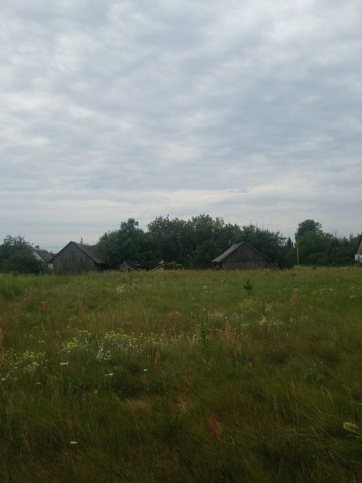 Продається земельна ділянка