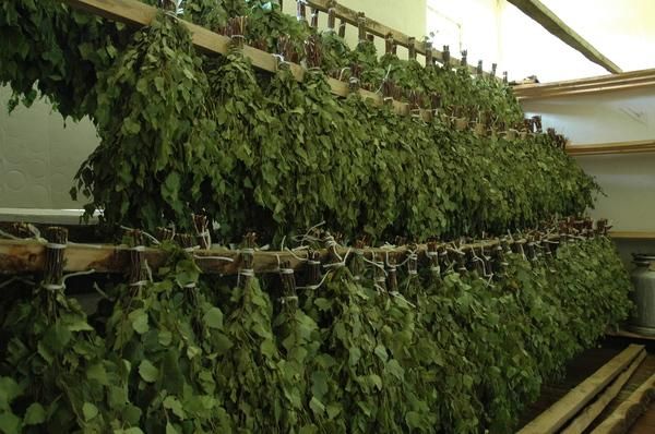 Банні віники для сауни березові віники  дубові віники травяні віники