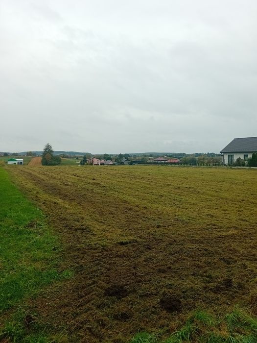 Usługi koszenia traw