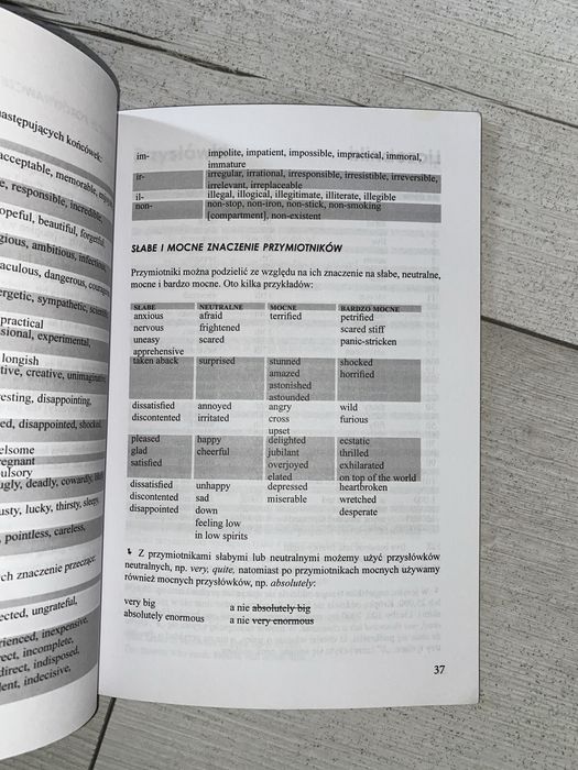 Gramatyka języka angielskiego buchmann