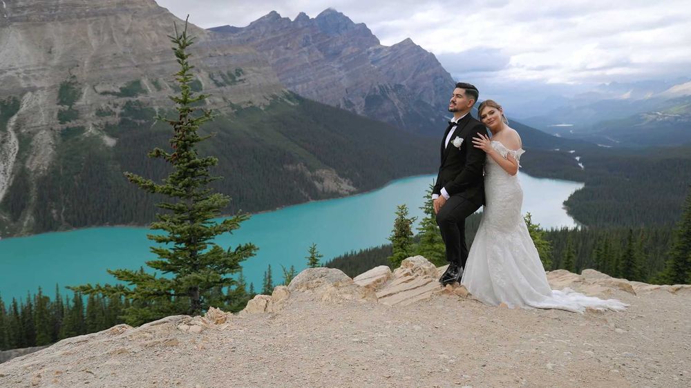 Kamerzysta na wesele