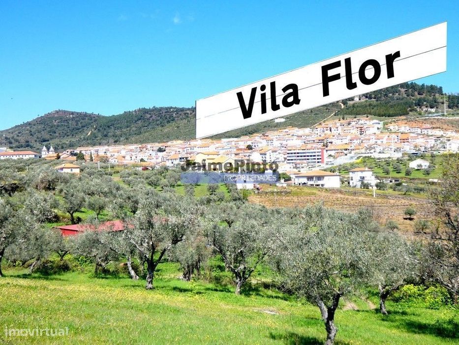 Ruína e terreno para construção de edifício de R/chão e 3 pisos, TU... — Vila Flor E Nabo, Bragança