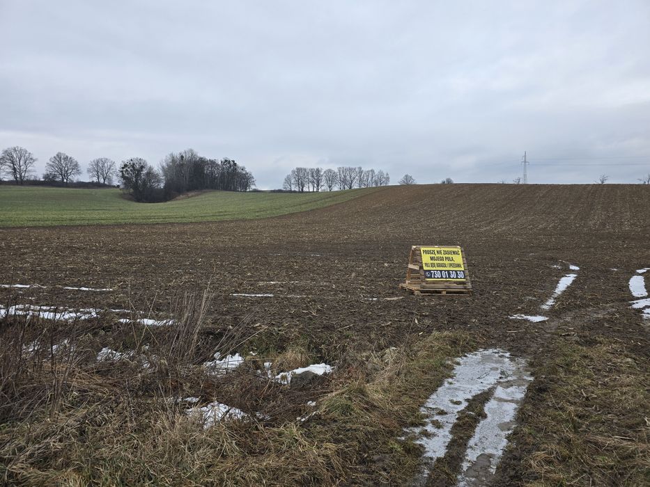 Grunt rolny 1,75 ha – Piotrkowiczki | blisko Wrocławia | S5